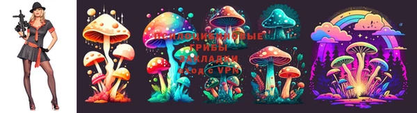 винт Надым