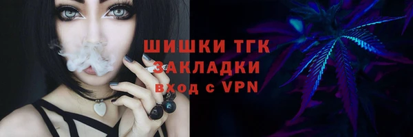 винт Надым