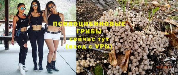 винт Надым