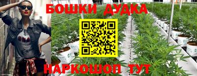 крисы Донской
