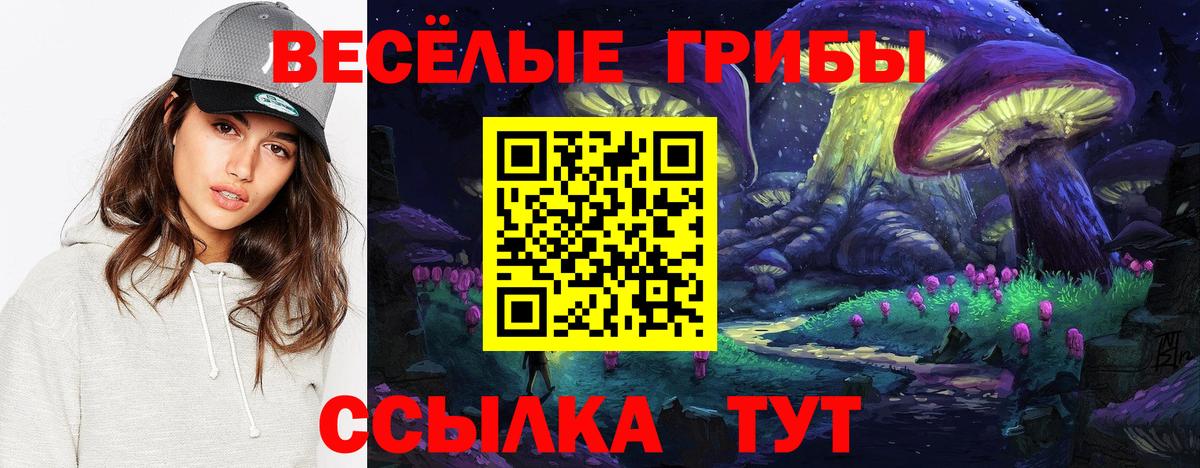 Псилоцибиновые грибы мухоморы Серов